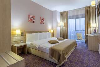 Отель RIN Grand Hotel Бухарест Superior Double Room with Delta View-4