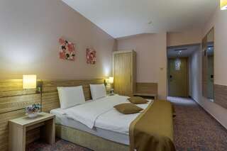 Отель RIN Grand Hotel Бухарест Стандартный двухместный номер с 1 кроватью-6