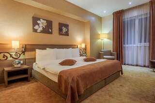 Отель RIN Grand Hotel Бухарест Улучшенный двухместный номер с 1 кроватью-3
